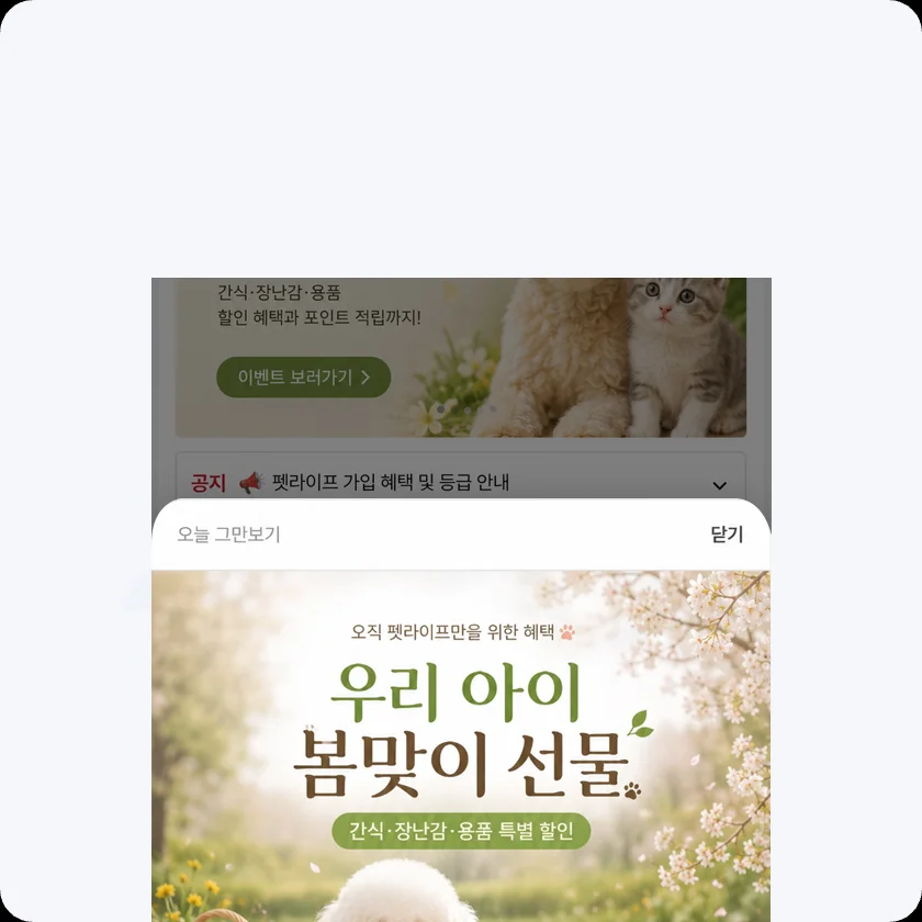 다양한 배너와 공지